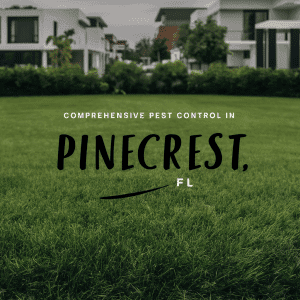 a green lawn with buildings in the background