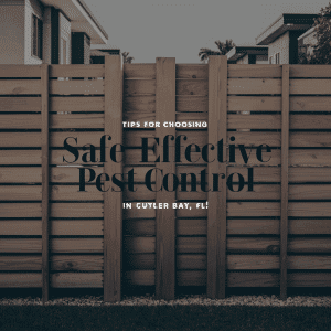 a wooden fence with a fence in front of a building