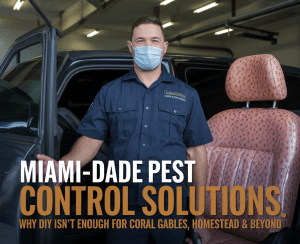2025 04 25T190117.194Z259file – pest control in