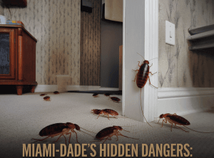 miami dade hidden dangers – pest control in