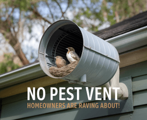 No Pest Vent Homeowners Are Raving About!