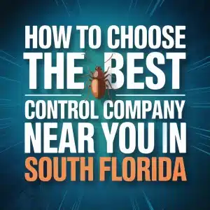 How to Choose the Best Pest Control Company