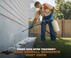 Pest control professional treating foundation