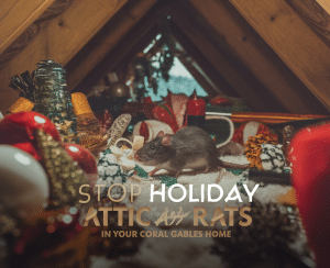 Mouse among holiday decorations in attic